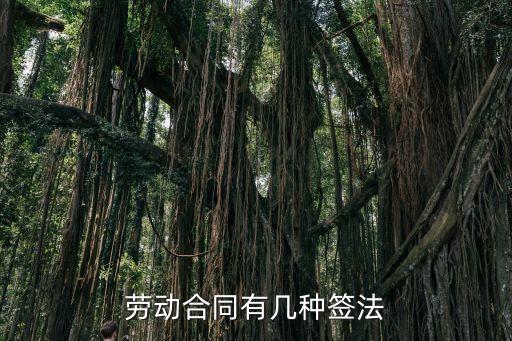 勞動合同根據(jù)什么法律簽訂，簡述勞動合同簽署的有關(guān)法律規(guī)定