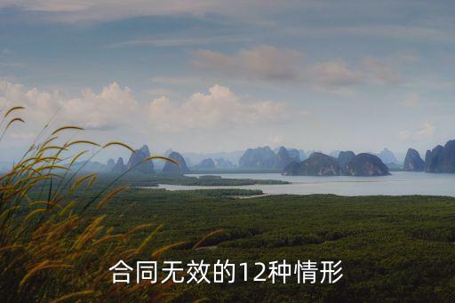 合同無效的12種情形