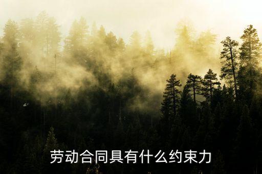 勞動(dòng)合同受哪些法律約束，勞動(dòng)合同的效力對(duì)勞動(dòng)者有什么約束力
