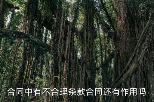 如果合同里有不合理的條約，合同中有不合理?xiàng)l款合同還有作用嗎