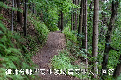 律師分哪些專業(yè)領(lǐng)域請專業(yè)人士回答