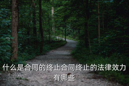 合同終止有哪些法律效力，什么是合同的終止合同終止的法律效力有哪些