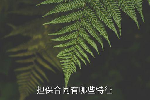 合同擔保法律特征有哪些，擔保合同有哪些特征