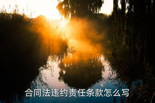 合同上法律責(zé)任如何寫，合同法違約責(zé)任條款怎么寫