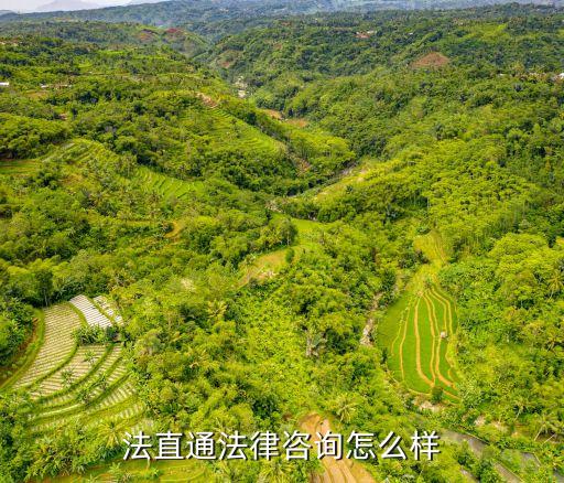 什么法律咨詢(xún)的軟件比較好，法直通法律咨詢(xún)?cè)趺礃?/></a></span><span id=