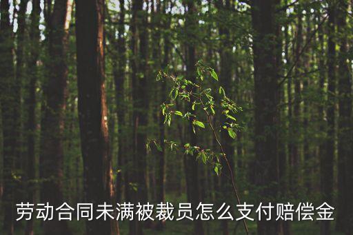 勞動(dòng)合同未滿被裁員怎么支付賠償金