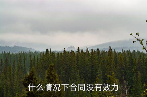 什么情況下合同沒(méi)有效力