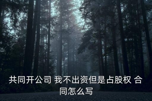 共同開公司 我不出資但是占股權(quán) 合同怎么寫