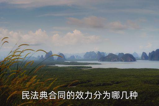 民法典合同的效力分為哪幾種