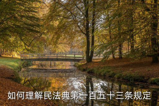 如何理解民法典第一百五十三條規(guī)定