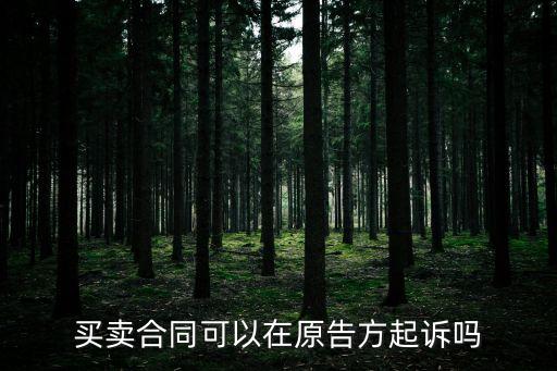 買賣合同可以在原告所在地起訴嗎，買賣合同可以在原告方起訴嗎