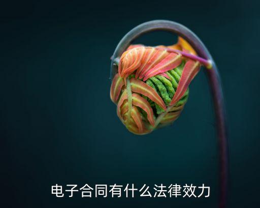 電子合同有什么法律效力