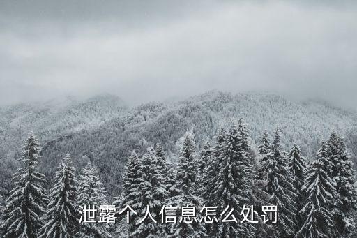 個(gè)人信息泄露 法條，泄露個(gè)人信息怎么定罪