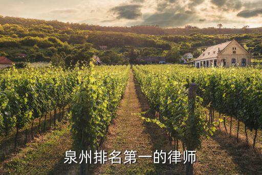 泉州排名第一的律師