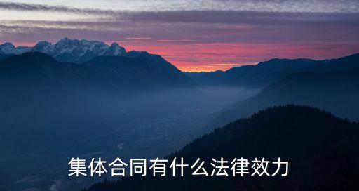 集體合同有什么法律效力