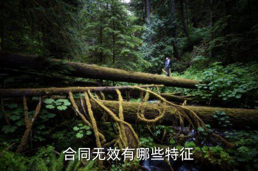 合同無效有哪些特征