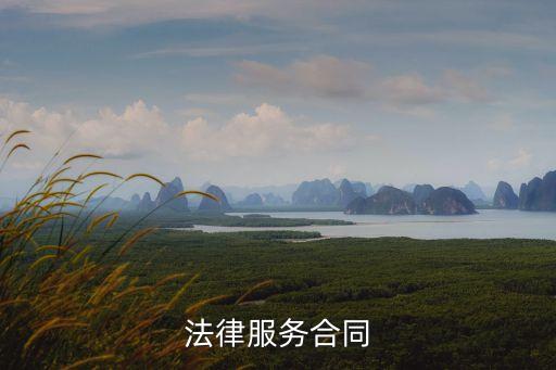 對法律服務合同理解怎么寫，法律服務合同