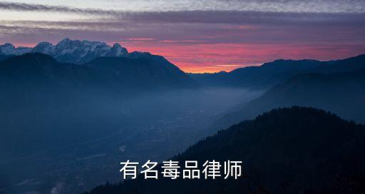 毒品案知名律師，有名毒品律師