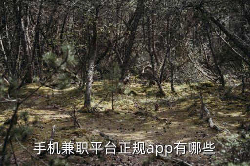 做任務賺傭金的正規(guī)平臺，手機兼職平臺正規(guī)app有哪些