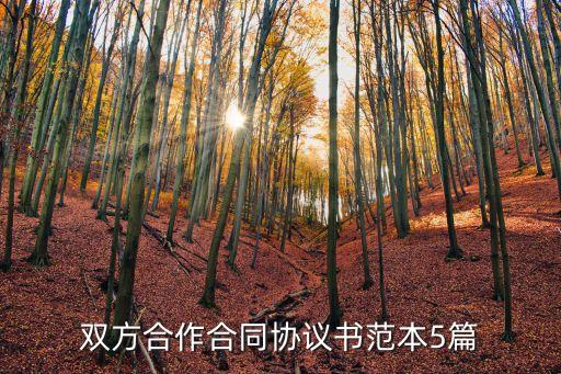 雙方合作協(xié)議書范本簡單，雙方合作合同協(xié)議書范本5篇