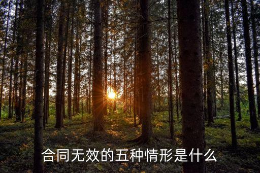 合同無(wú)效有哪幾種情形之一，合同無(wú)效的五種情形是什么
