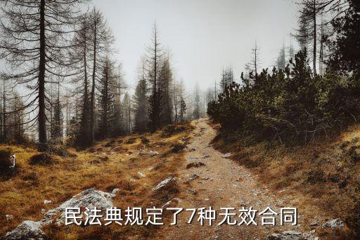 民法典規(guī)定了7種無效合同法條，民法典規(guī)定了7種無效合同