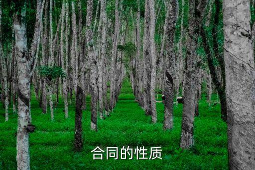 合同的性質(zhì)