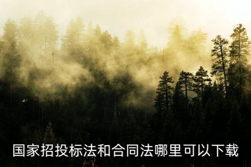 國家招投標(biāo)法和合同法哪里可以下載
