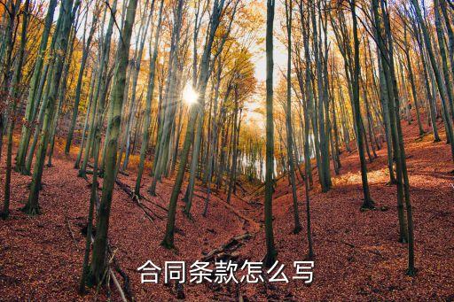 宣傳合同條款怎么寫的法律規(guī)定，合同條款怎么寫