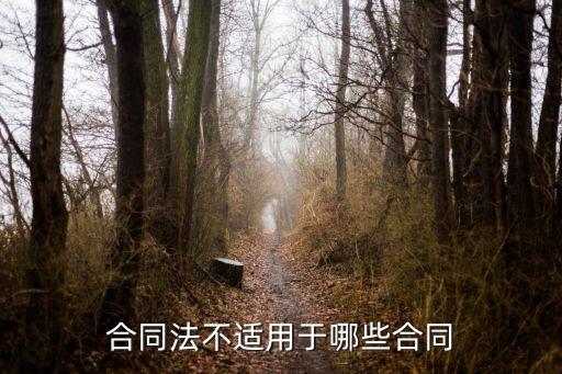 哪些合同法律不認(rèn)可，合同法不適用于哪些合同