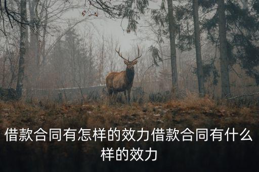 借款合同有哪些作用呢法律，借款合同有怎樣的效力借款合同有什么樣的效力