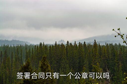 簽署合同只有一個公章可以嗎