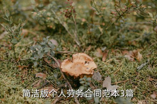 業(yè)務(wù)員勞務(wù)合同范本簡單版，簡潔版?zhèn)€人勞務(wù)合同范本3篇