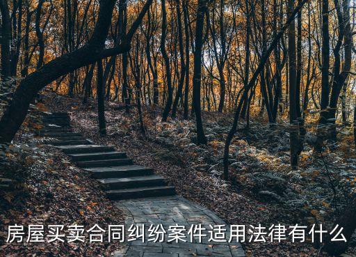 買賣合同適用哪些法律，房屋買賣合同糾紛案件適用法律有什么