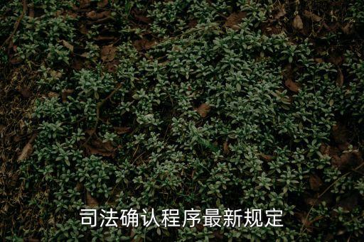 民法典關(guān)于司法確認(rèn)的規(guī)定，司法確認(rèn)程序最新規(guī)定