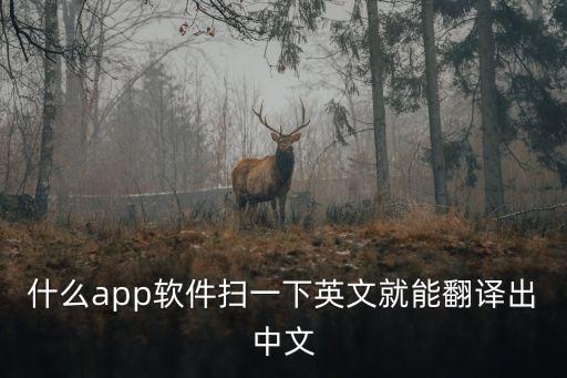 有道翻譯APP，什么app軟件掃一下英文就能翻譯出中文