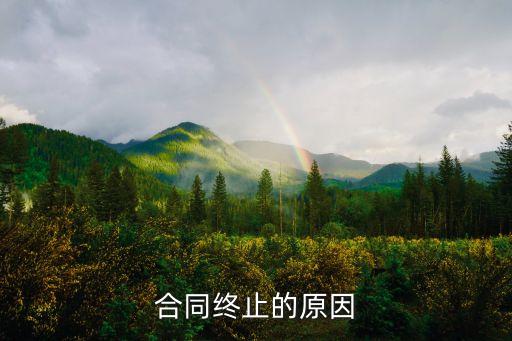 合同終止的原因有哪些，哪些原因導致合同終止