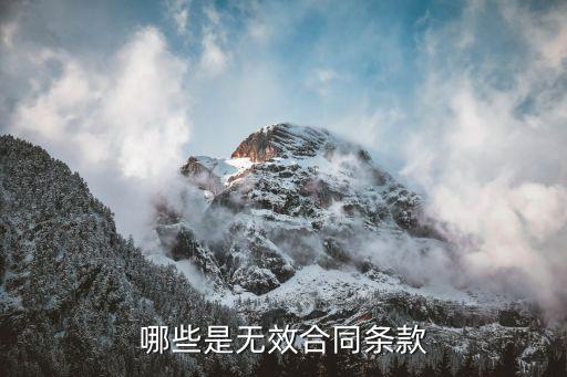 合同中無效條款，哪些是無效合同條款