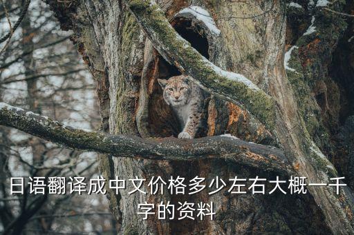 日文合同翻譯價格，日語翻譯成中文價格多少左右大概一千字的資料