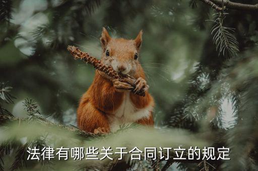 有哪些合同法法律規(guī)定，法律有哪些關(guān)于合同訂立的規(guī)定