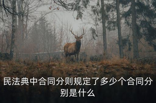 民法典中合同分則規(guī)定了多少個(gè)合同分別是什么