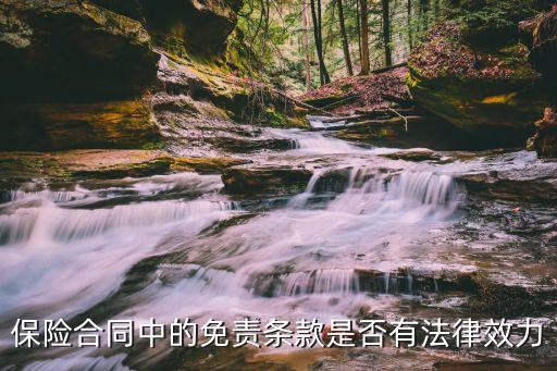 保險(xiǎn)合同有哪些法律效力，保險(xiǎn)合同中的免責(zé)條款是否有法律效力