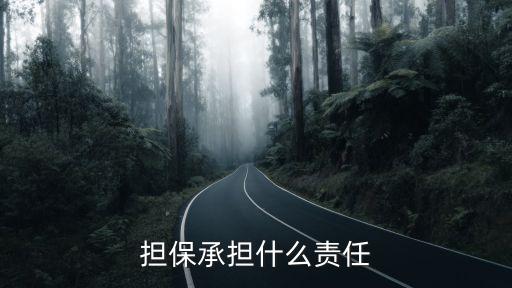 擔(dān)保合同承擔(dān)哪些法律責(zé)任，擔(dān)保承擔(dān)什么責(zé)任