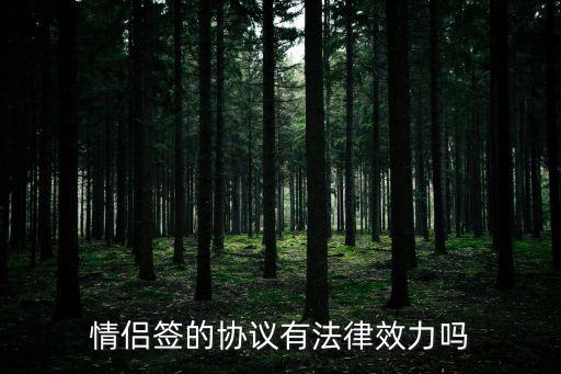 情侶簽合同哪些有法律效力，情侶簽的協(xié)議有法律效力嗎