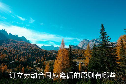 訂立合同應(yīng)依照哪些法律，合同根據(jù)什么法律