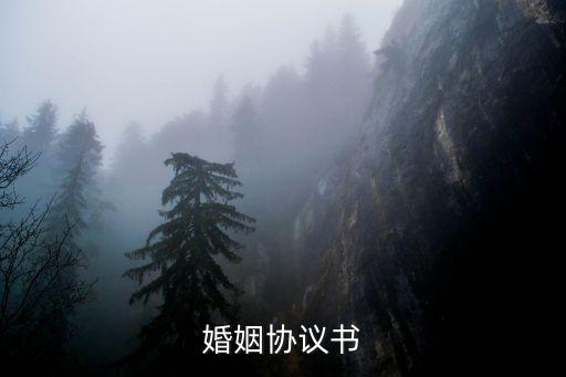 婚姻協(xié)議書