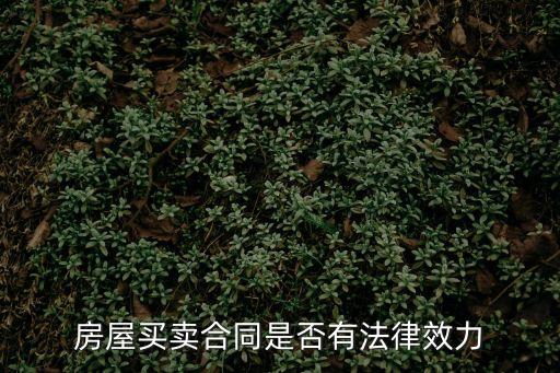 房屋買賣合同是否有法律效力