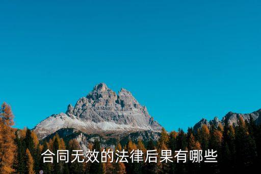 合同無效的法律后果有哪些