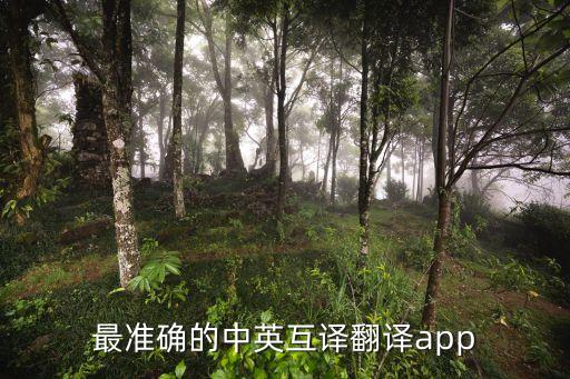 一點翻譯app下載，最準(zhǔn)確的中英互譯翻譯app