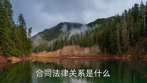 合同法律關(guān)系包括哪些，合同法律關(guān)系是什么